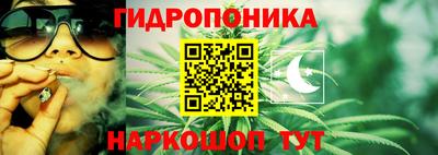 СК Волгодонск