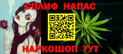 прущие грибы Азнакаево