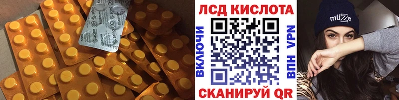 LSD-25 экстази кислота  kraken онион  Губкин 