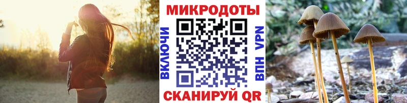Галлюциногенные грибы MAGIC MUSHROOMS  Губкин 