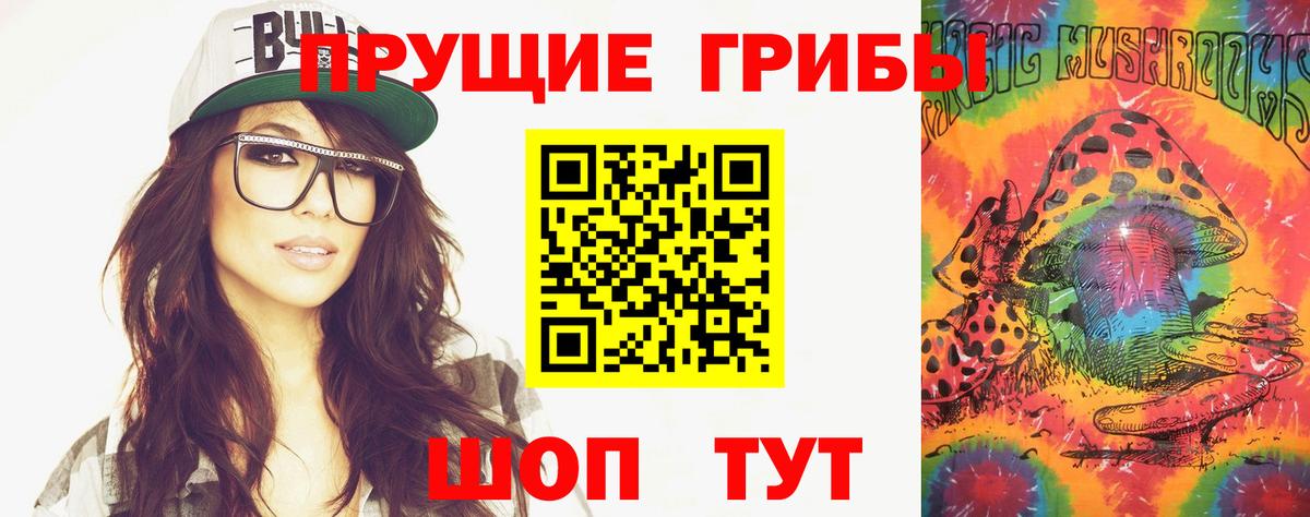 Псилоцибиновые грибы Psilocybine cubensis  Губкин 